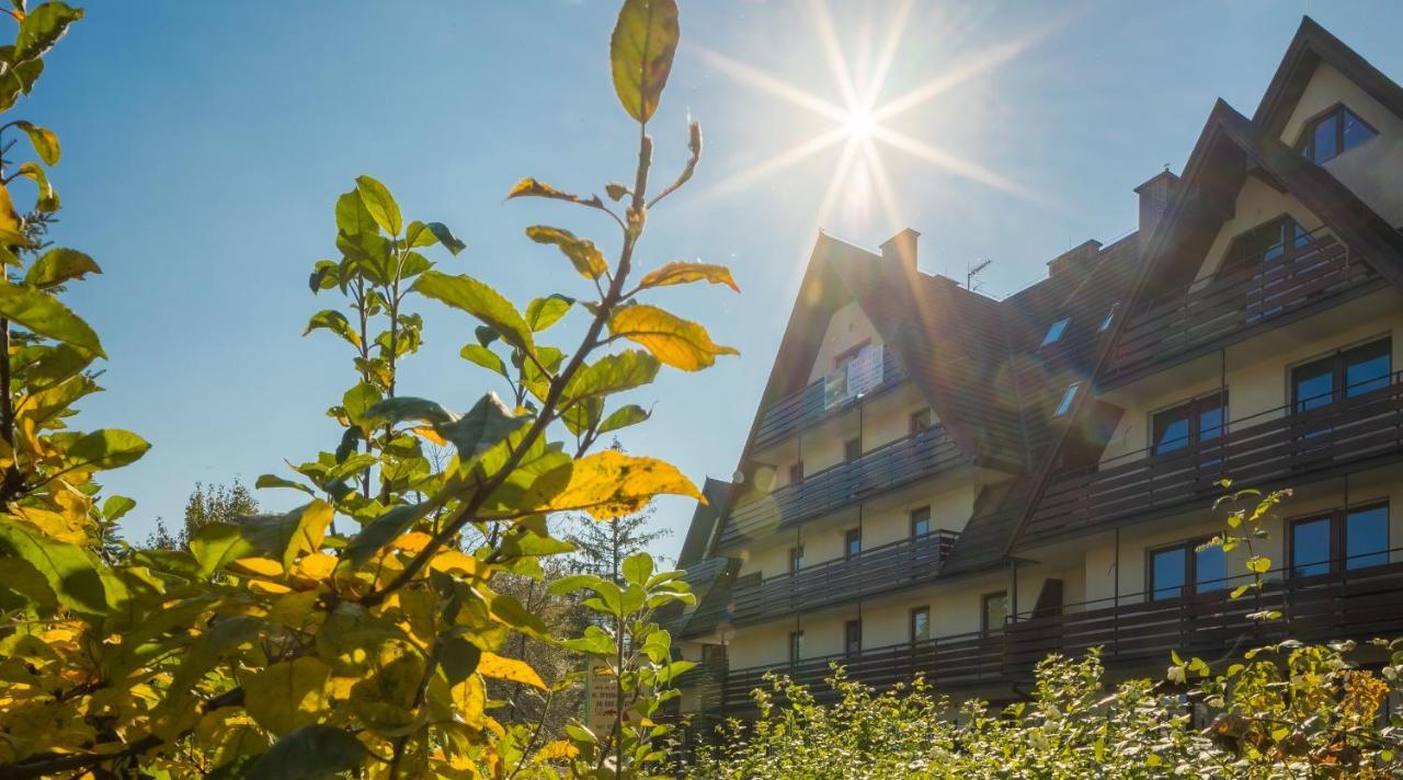 Tetmajera Apartzakop * Zakopane